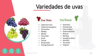 Variedades de uvas
7
• Cabernet Franc
• Cabernet Sauvignon
• Carmenére
• Malbec
• Merlot
• Pinot Noir
• Syrah
• Tannat
• Tempranillo
• Touriga Nacional
• Alvarinho
• Chardonnay
• Chenin Blanc
• Gewirztraminer
• Muscat
• Riesling
• Sauvignon Blanc
• Sémillon
• Torrontés
• Viognier
Licenciado para - Roberto Junior - 83423605987 - Protegido por Eduzz.com
 