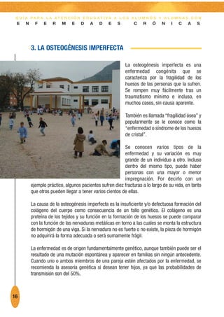 G U Í A PA R A L A AT E N C I Ó N E D U C AT I VA A L O S A L U M N O S Y A L U M N A S C O N
 E    N     F   E    R    M    E    D   A    D    E    S       C    R    Ó    N    I   C    A   S




          3. LA OSTEOGÉNESIS IMPERFECTA

                                                           La osteogénesis imperfecta es una
                                                           enfermedad congénita que se
                                                           caracteriza por la fragilidad de los
                                                           huesos de las personas que la sufren.
                                                           Se rompen muy fácilmente tras un
                                                           traumatismo mínimo e incluso, en
                                                           muchos casos, sin causa aparente.

                                                           También es llamada “fragilidad ósea” y
                                                           popularmente se le conoce como la
                                                           “enfermedad o síndrome de los huesos
                                                           de cristal”.

                                                          Se conocen varios tipos de la
                                                          enfermedad y su variación es muy
                                                          grande de un individuo a otro. Incluso
                                                          dentro del mismo tipo, puede haber
                                                          personas con una mayor o menor
                                                          impregnación. Por decirlo con un
          ejemplo práctico, algunos pacientes sufren diez fracturas a lo largo de su vida, en tanto
          que otros pueden llegar a tener varios cientos de ellas.

          La causa de la osteogénesis imperfecta es la insuficiente y/o defectuosa formación del
          colágeno del cuerpo como consecuencia de un fallo genético. El colágeno es una
          proteína de los tejidos y su función en la formación de los huesos se puede comparar
          con la función de las nervaduras metálicas en torno a las cuales se monta la estructura
          de hormigón de una viga. Si la nervadura no es fuerte o no existe, la pieza de hormigón
          no adquirirá la forma adecuada o será sumamente frágil.

          La enfermedad es de origen fundamentalmente genético, aunque también puede ser el
          resultado de una mutación espontánea y aparecer en familias sin ningún antecedente.
          Cuando uno o ambos miembros de una pareja estén afectados por la enfermedad, se
          recomienda la asesoría genética si desean tener hijos, ya que las probabilidades de
          transmisión son del 50%.



16
 