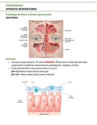 Fisiología de Nariz y Senos paranasales
ANATOMIA
MUCOSA
• mucosa nasal contiene à cilios FUNCION àfavorecer el drenaje del tubo
respiratorio mediante movimientos ondulatorios rápidos y lentos
• El pH normal de la nariz varía entre 5.5 y 6.5
pH <5.5 Moco nasal actúa como gel
pH >6.5 Moco nasal actúa como solución
FUNCIONALES
APARATO RESPIRATORIO
 