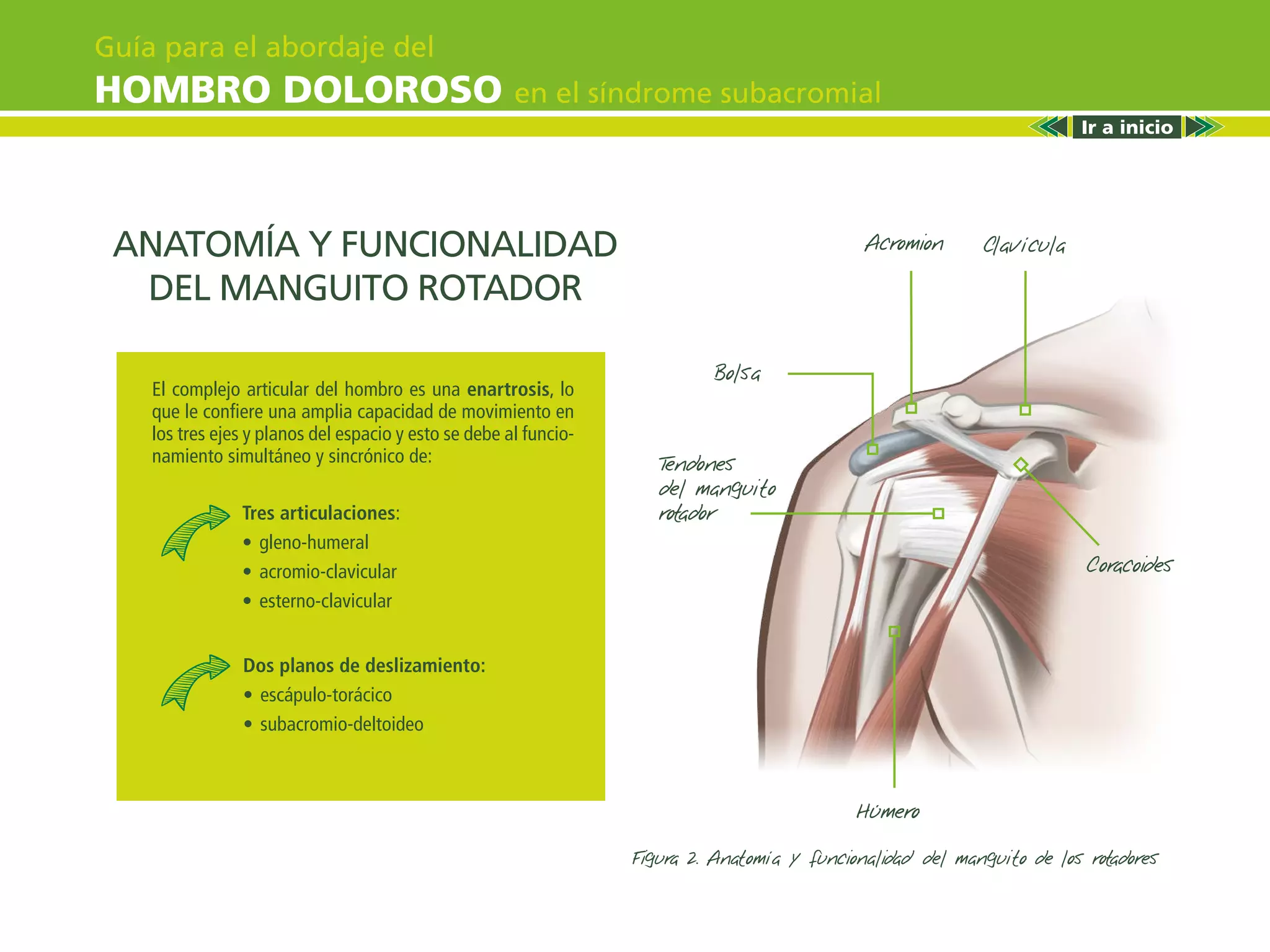 Guia De Practica Clinica Hombro Doloroso