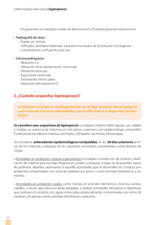 enfermedades infecciosas | leptospirosis
- En pacientes con elevados niveles de bilirrubina el LCR puede presentar xantocromía.
• Radiografía de tórax
- Puede ser normal.
- Infiltrados alveolares bilaterales a predomínio basal o de distribución homogénea.
- Consolidación confluyente (rara vez).
• Electrocardiograma
- Bloqueos a-v.
- Alteración de la repolarización ventricular.
- Fibrilación auricular.
- Taquicardia ventricular.
- Extrasístoles ventriculares
- Depresión del segmento ST.
3. ¿Cuándo sospechar leptospirosis?
Se considera caso sospechoso de leptospirosis a cualquier enfermo febril agudo, con cefalea
y mialgia, en ausencia de síntomas en vías aéreas superiores, con epidemiología compatible.
Puede presentar además ictericia, meningitis, nefropatía, neumonía, hemorragias.
Se consideran antecedentes epidemiológicos compatibles, en los 30 días anteriores al ini-
cio de los síntomas, cualquiera de las siguientes actividades, consideradas como factores de
riesgo:
• Actividades en ambientes urbanos y periurbanos vinculadas a recolección de residuos, clasifi-
cación de material para reciclaje, limpieza en canales o acequias, trabajo en alcantarillas, tareas
de jardinería, albañiles, veterinarios o aquellas actividades que se desarrollen en contacto con
ambientes contaminados con orina de roedores y/o perros u otros animales domésticos y sil-
vestres).
• Actividades en ambientes rurales como manejo de animales domésticos (bovinos, cerdos,
caballos, u otros), agricultura en áreas anegadas, o realizar actividades recreativas o deportivas
que incluyan el contacto con aguas estancadas potencialmente contaminadas con orina de
roedores y/o perros u otros animales domésticos o silvestres.
12
La leptospirosis puede ser subdiagnosticada por la baja sospecha clínica, porque se
suele confundir con otras enfermedades y por la dificultad en el diagnóstico de labo-
ratorio.
 