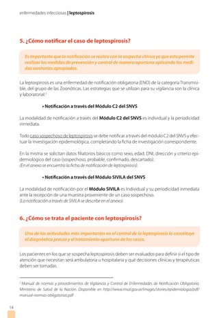 enfermedades infecciosas | leptospirosis
5. ¿Cómo notificar el caso de leptospirosis?
La leptospirosis es una enfermedad de notificación obligatoria (ENO) de la categoría Transmisi-
ble, del grupo de las Zoonóticas. Las estrategias que se utilizan para su vigilancia son la clínica
y laboratorial.2
• Notificación a través del Módulo C2 del SNVS
La modalidad de notificación a través del Módulo C2 del SNVS es individual y la periodicidad
inmediata.
Todo caso sospechoso de leptospirosis se debe notificar a través del módulo C2 del SNVS y efec-
tuar la investigación epidemiológica, completando la ficha de investigación correspondiente.
En la misma se solicitan datos filiatorios básicos como sexo, edad, DNI, dirección y criterio epi-
demiológico del caso (sospechoso, probable, confirmado, descartado).
(En el anexo se encuentra la ficha de notificación de leptospirosis).
• Notificación a través del Módulo SIVILA del SNVS
La modalidad de notificación por el Módulo SIVILA es Individual y su periodicidad inmediata
ante la recepción de una muestra proveniente de un caso sospechoso.
(La notificación a través de SIVILA se describe en el anexo).
6. ¿Cómo se trata el paciente con leptospirosis?
Los pacientes en los que se sospecha leptospirosis deben ser evaluados para definir si el tipo de
atención que necesitan será ambulatoria u hospitalaria y qué decisiones clínicas y terapéuticas
deben ser tomadas.
14
Una de las actividades más importantes en el control de la leptospirosis lo constituye
el diagnóstico precoz y el tratamiento oportuno de los casos.
2
Manual de normas y procedimientos de Vigilancia y Control de Enfermedades de Notificación Obligatoria,
Ministerio de Salud de la Nación. Disponible en http://www.msal.gov.ar/images/stories/epidemiologia/pdf/
manual-normas-obligatorias.pdf
Es importante que la notificación se realice con la sospecha clínica ya que esto permite
realizar las medidas de prevención y control de manera oportuna aplicando las medi-
das sanitarias apropiadas.
 