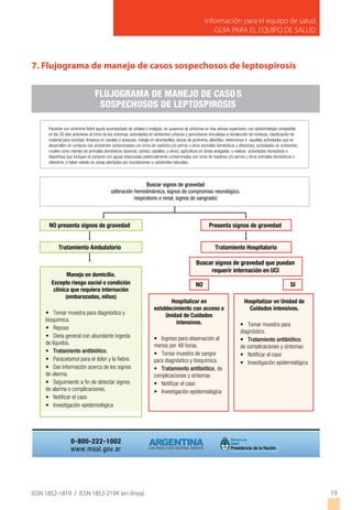Información para el equipo de salud
GUIA PARA EL EQUIPO DE SALUD
ISSN 1852-1819 / ISSN 1852-219X (en línea) 19
7. Flujograma de manejo de casos sospechosos de leptospirosis
0-800-222-1002
www.msal.gov.ar
FLUJOGRAMA DE MANEJO DE CASOS
SOSPECHOSOS DE LEPTOSPIROSIS
NO presenta signos de gravedad
Tratamiento Ambulatorio Tratamiento Hospitalario
Buscar signos de gravedad que puedan
requerir internación en UCI
Presenta signos de gravedad
Buscar signos de gravedad
(alteración hemodinámica, signos de compromiso neurológico,
respiratorio o renal, signos de sangrado)
Paciente con síndrome febril agudo acompañado de cefalea y mialgias, en ausencia de síntomas en vías aéreas superiores, con epidemiología compatible
material para reciclaje, limpieza en canales o acequias, trabajo en alcantarillas, tareas de jardinería, albañiles, veterinarios o aquellas actividades que se
desarrollen en contacto con ambientes contaminados con orina de roedores y/o perros u otros animales domésticos y silvestres), actividades en ambientes
rurales como manejo de animales domésticos (bovinos, cerdos, caballos, u otros), agricultura en áreas anegadas, o realizar actividades recreativas o
deportivas que incluyan el contacto con aguas estancadas potencialmente contaminadas con orina de roedores y/o perros u otros animales domésticos o
silvestres, o haber estado en zonas afectadas por inundaciones o catástrofes naturales.
NO SI
 
