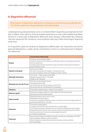 enfermedades infecciosas | leptospirosis
8. Diagnóstico diferencial
La leptospirosis puede presentarse como un síndrome febril inespecífico acompañado de mial-
gias y cefaleas. Estos signos y síntomas pueden presentarse en otras enfermedades que deben
tenerse en cuenta para el diagnóstico diferencial como dengue, enfermedad tipo influenza,
infección aguda por VIH, hantavirus, mononucleosis infecciosa, Fiebre Hemorrágica Argentina,
entre otras.
En el siguiente cuadro se nombran los diagnósticos diferenciales más importantes de la forma
grave de leptospirosis, y cuáles son las características a tener en cuenta para hacer el diagnós-
tico diferencial:
Características diferenciales
Dengue
Existencia de nexo epidemiológico.
Exantema. Presencia de leucopenia con linfocitosis relativa. Eritrosedimentación baja.
Ictericia excepcional.
En dengue grave hemoconcentración y signos asociados a extravasación de plasma
(derrame pleural, ascitis).
Hepatitis viral aguda
Suele cursar sin fiebre.
No suelen acompañarse de mialgias, ni compromiso renal.
Las enzimas hepáticas están muy elevadas y la CPK es normal.
Meningitis bacterianas
LCR: Células > 1000 a predominio de PMN.
Hipoglucorraquia (Glucosa <50 mg/dl).
Proteínas 100- 500mg/dl.
Meningitis por virus de St Louis
LCR claro con glucorraquia normal.
Eritrosedimentación baja.
No hay elevación de enzimas hepáticas ni de la CPK.
No son frecuentes las manifestaciones hemorrágicas.
Paludismo Antecedentes epidemiológicos. Palidez. Acceso palúdico.
Abdomen agudo
Ausencia de mialgias. Pueden o no existir signos de irritación peritoneal.
No hay presencia de trombocitopenia.
Fiebre amarilla
Bradicardia relativa, albuminuria, anuria.
Manifestaciones hemorrágicas.
Evoluciona a insuficiencia hepática y renal. La ictericia es por necrosis hepatocelular. El
aumento de TGP/TGO es x 10 o más.
Hantavirus
Antecedente epidemiológico.
El mecanismo del SCPH es por extravasación y no hemorrágico .
El SCPH presenta líquido respiratorio viscoso simil plasma (leptospirosis tiene sangre).
Eritrosedimentación normal o leve aumento, hematocrito elevado (por hemoconcen-
tración), presencia de inmunocitos y plaquetopenia frecuente.
La ictericia es excepcional.
Triquinosis
Leucocitosis de magnitud variable, acentuada eosinofilia que puede llegar al 40-70%.
Edema palpebral, bilateral, simétrico, indoloro.
Síntomas digestivos inespecíficos transitorios (nauseas, vómitos y diarrea).
CPK muy elevada.
20
Para realizar el diagnóstico diferencial, es necesaria una anamnesis que abarque los
15 a 30 días anteriores a la presentación de la enfermedad.
 