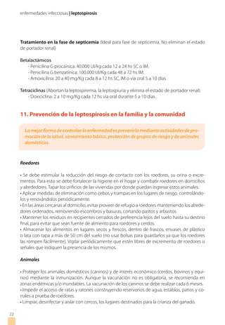 enfermedades infecciosas | leptospirosis
Tratamiento en la fase de septicemia (Ideal para fase de septicemia. No eliminan el estado
de portador renal)
Betalactámicos
- Penicilina G procaínica: 40.000 UI/kg cada 12 a 24 hs SC o IM.
- Penicilina G benzatínica: 100.000 UI/Kg cada 48 a 72 hs IM.
- Amoxicilina: 20 a 40 mg/Kg cada 8 a 12 hs SC, IM o via oral 5 a 10 dias.
Tetraciclinas (Abortan la leptospiremia, la leptospiuria y elimina el estado de portador renal).
- Doxiciclina: 2 a 10 mg/Kg cada 12 hs vía oral durante 5 a 10 dias.
11. Prevención de la leptospirosis en la familia y la comunidad
Roedores
• Se debe estimular la reducción del riesgo de contacto con los roedores, su orina o excre-
mentos. Para esto se debe fortalecer la higiene en el hogar y combatir roedores en domicilios
y alrededores. Tapar los orificios de las viviendas por donde puedan ingresar estos animales.
• Aplicar medidas de eliminación como cebos y trampas en los lugares de riesgo, controlándo-
los y renovándolos periódicamente.
• En las áreas cercanas al domicilio, evitar proveer de refugio a roedores manteniendo los alrede-
dores ordenados, removiendo escombros y basuras, cortando pastos y arbustos.
• Mantener los residuos en recipientes cerrados de preferencia lejos del suelo hasta su destino
final, para evitar que sean fuente de alimento para roedores y cerdos.
• Almacenar los alimentos en lugares secos y frescos, dentro de frascos, envases de plástico
o lata con tapa a más de 50 cm del suelo (no usar bolsas para guardarlos ya que los roedores
las rompen fácilmente). Vigilar periódicamente que estén libres de excremento de roedores o
señales que indiquen la presencia de los mismos.
Animales
• Proteger los animales domésticos (caninos) y de interés económico (cerdos, bovinos y equi-
nos) mediante la inmunización. Aunque la vacunación no es obligatoria, se recomienda en
zonas endémicas y/o inundables. La vacunación de los caninos se debe realizar cada 6 meses.
• Impedir el acceso de ratas y ratones construyendo reservorios de agua, establos, patios y co-
rrales a prueba de roedores.
• Limpiar, desinfectar y aislar con cercos, los lugares destinados para la crianza del ganado.
22
La mejor forma de controlar la enfermedad es prevenirla mediante actividades de pro-
moción de la salud, saneamiento básico, protección de grupos de riesgo y de animales
domésticos.
 