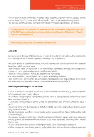 Información para el equipo de salud
GUIA PARA EL EQUIPO DE SALUD
ISSN 1852-1819 / ISSN 1852-219X (en línea)
• Evitar tocar animales enfermos o muertos, fetos, placentas, órganos (riñones, vejigas) con las
manos sin protección y evitar asistir a los animales cuando están pariendo sin guantes.
• En caso de identificación de animales domésticos infectados separarlos de los demás.
Ambiente
Las bacterias se destruyen fácilmente por el calor, desinfectantes como lavandina, desecación,
frío intenso y valores extremos de pH (pH menores a 6 o mayores a 8).
• En pisos donde es posible la limpieza, realizar la desinfección con una solución de 1 parte de
lavandina cada 9 partes de agua.
• Los suelos de tierra, sin exposición al sol, inundables o con falta de drenaje adecuado pueden
tratarse con yeso o cal para lograr una modificación del pH.
• Drenar o rellenar terrenos inundados o fácilmente inundables.
• Se recomienda la correcta disposición de aguas residuales y de baños.
• Los excrementos provenientes de animales domésticos deben ser dispuestos de forma tal de
evitar la contaminación del ambiente. Levantar diariamente la materia fecal.
Medidas preventivas para las personas
• Evitar la inmersión en aguas estancadas potencialmente contaminadas, y procurar que los
niños no jueguen en charcos o barro.
• Cuando no se disponga de agua potable, clorar o hervir el agua para consumo humano y para
lavar utensilios de cocina.
• Lavarse las manos antes de comer y después del contacto con animales, utilizando agua y
jabón.
• Lavarse o tomar una ducha después de haber estado expuesto a salpicaduras de orina, suelo
o agua contaminados.
• Para la limpieza de superficies contaminadas utilizar una solución de 1 parte de lavandina cada
9 partes de agua.
• En caso de inundaciones limpiar y desinfectar los domicilios con agua y lavandina, utilizando
botas y guantes. Se debe remover el barro que pudo haber ingresado, antes de volver a habitar
los mismos.
• Cubrir las lesiones de la piel con ropa impermeable. Lavar y desinfectar las heridas.
• Uilizar ropa protectora (botas, guantes, gafas, delantales, máscaras) durante la manipulación
23
La leptospirosis en animales es enfermedad de notificación obligatoria por Ley
Nº 15.465 “Regimen Legal de las Enfermedades de Notificacion Obligatoria” y Resolu-
ción 422/2003 del SENASA.
Ante cualquier inquietud, consulte con un Veterinario.
 