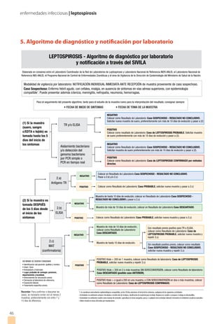 enfermedades infecciosas | leptospirosis
46
5. Algoritmo de diagnóstico y notificación por laboratorio
 