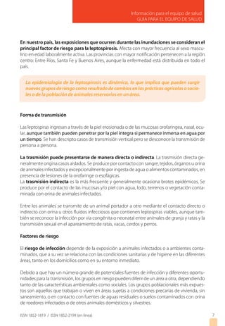 Información para el equipo de salud
GUIA PARA EL EQUIPO DE SALUD
ISSN 1852-1819 / ISSN 1852-219X (en línea)
En nuestro país, las exposiciones que ocurren durante las inundaciones se consideran el
principal factor de riesgo para la leptospirosis. Afecta con mayor frecuencia al sexo mascu-
lino en edad laboralmente activa. Las provincias con mayor notificación pertenecen a la región
centro: Entre Ríos, Santa Fe y Buenos Aires, aunque la enfermedad está distribuida en todo el
país.
Forma de transmisión
Las leptospiras ingresan a través de la piel erosionada o de las mucosas orofaríngea, nasal, ocu-
lar, aunque también pueden penetrar por la piel íntegra si permanece inmersa en agua por
un tiempo. Se han descripto casos de transmisión vertical pero se desconoce la transmisión de
persona a persona.
La trasmisión puede presentarse de manera directa o indirecta. La trasmisión directa ge-
neralmente origina casos aislados. Se produce por contacto con sangre, tejidos, órganos u orina
de animales infectados y excepcionalmente por ingesta de agua o alimentos contaminados, en
presencia de lesiones de la orofaringe o esofágicas.
La trasmisión indirecta es la más frecuente y generalmente ocasiona brotes epidémicos. Se
produce por el contacto de las mucosas y/o piel con agua, lodo, terrenos o vegetación conta-
minada con orina de animales infectados.
Entre los animales se transmite de un animal portador a otro mediante el contacto directo o
indirecto con orina u otros fluidos infecciosos que contienen leptospiras viables, aunque tam-
bién se reconoce la infección por vía congénita o neonatal entre animales de granja y ratas y la
transmisión sexual en el apareamiento de ratas, vacas, cerdos y perros.
Factores de riesgo
El riesgo de infección depende de la exposición a animales infectados o a ambientes conta-
minados, que a su vez se relaciona con las condiciones sanitarias y de higiene en las diferentes
áreas, tanto en los domicilios como en su entorno inmediato.
Debido a que hay un número grande de potenciales fuentes de infección y diferentes oportu-
nidades para la transmisión, los grupos en riesgo pueden diferir de un área a otra, dependiendo
tanto de las características ambientales como sociales. Los grupos poblacionales más expues-
tos son aquellos que trabajan o viven en áreas sujetas a condiciones precarias de vivienda, sin
saneamiento, o en contacto con fuentes de aguas residuales o suelos contaminados con orina
de roedores infectados o de otros animales domésticos y silvestres.
7
La epidemiología de la leptospirosis es dinámica, lo que implica que pueden surgir
nuevos grupos de riesgo como resultado de cambios en las prácticas agrícolas o socia-
les o de la población de animales reservorios en un área.
 