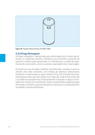 100 Guia Nacional De Coleta E Preservação De Amostras
5.3.6 Draga Retangular
A draga retangular é apropriada para amostragem por arrasto, geral-
mente no ambiente marinho. Devido ao seu tamanho, necessita de
guincho e embarcação apropriada, e é indicada para a coleta de orga-
nismos de maior porte, como crustáceos, equinodermos e macroalgas.
Consiste de uma armação metálica, de dimensões variadas, à qual se
prende uma rede resistente, com malhas de abertura selecionadas
conforme o material que se quer amostrar (Fig. 29). À frente da arma-
ção há duas hastes que são unidas a um cabo, por onde é feita a descida
e a subida do equipamento. O equipamento é lançado na água e arras-
tado com o barco em movimento, sendo recomendada a padronização
do tempo ou distância percorrida pelo arrasto para a comparação dos
resultados (semiquantitativos).
Figura 28. Pegador Manual (Fonte: CETESB, 1988).
 
