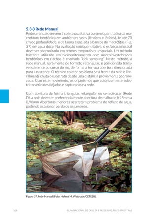106 Guia Nacional De Coleta E Preservação De Amostras
5.3.8 Rede Manual
Redes manuais servem à coleta qualitativa ou semiquantitativa da ma-
crofauna bentônica em ambientes rasos (lênticos e lóticos), de até 70
cm de profundidade, e da fauna associada a bancos de macrófitas (Fig.
37) em água doce. Na avaliação semiquantitativa, o esforço amostral
deve ser padronizado em termos temporais ou espaciais. Um método
bastante utilizado em biomonitoramento com macroinvertebrados
bentônicos em riachos é chamado “kick sampling”. Neste método, a
rede manual, geralmente de formato retangular, é posicionada trans-
versalmente ao curso do rio, de forma a ter sua abertura direcionada
para a nascente. O técnico coletor posiciona-se à frente da rede e lite-
ralmente chuta o substrato desde uma distância previamente padroni-
zada. Com este movimento, os organismos que colonizam este subs-
trato serão desalojados e capturados na rede.
Com abertura de forma triangular, retangular ou semicircular (Rede
D), a rede deve ter preferencialmente abertura de malha de 0,25mm a
0,90mm. Aberturas menores acarretam problema de refluxo de água,
podendo ocasionar perda de organismos.
Figura 37. Rede Manual (Foto: Helena M. Watanabe/CETESB).
 