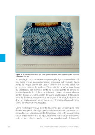 108 Guia Nacional De Coleta E Preservação De Amostras
Na instalação, cada cesto deve ser preso pela alça a uma corda de nái-
lon, fixada em um ponto da margem pela outra extremidade. Como
ponto de fixação podem ser usadas árvores ou, quando essas não
ocorrerem, estacas de madeira. É importante camuflar (com barro
ou vegetação, por exemplo) tanto as estacas quanto as partes ex-
postas da corda. As réplicas de substrato devem ser colocadas em
pontos diferentes, selecionados de forma aleatória com distância mí-
nima de 2 metros, mas próximos à margem. A localização dos cestos
deve ser registrada em um croqui ou registro fotográfico do local de
coleta para facilitar seus resgates.
Como medida preventiva à perda de animais por lavagem pelo filme
de tensão superficial da água, pode-se (a) costurar um pedaço de tela
no fundo e nas laterais do cesto; (b) colocar uma rede manual sob o
cesto, antes de retirá-lo da água, lavando o material aprisionado na
rede no saco plástico, onde o cesto for acondicionado; (c) acondi-
Figura 38. Substrato artificial do tipo cesto preenchido com pedra de brita (Foto: Monica L.
Kuhlmann/CETESB).
 