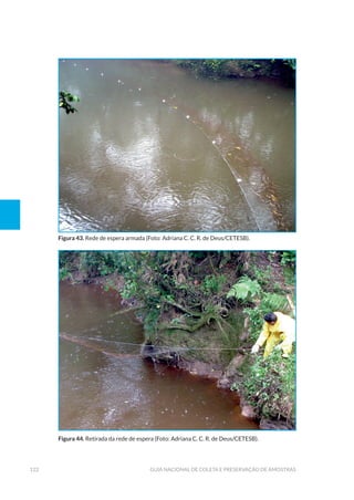 122 Guia Nacional De Coleta E Preservação De Amostras
Figura 43. Rede de espera armada (Foto: Adriana C. C. R. de Deus/CETESB).
Figura 44. Retirada da rede de espera (Foto: Adriana C. C. R. de Deus/CETESB).
 