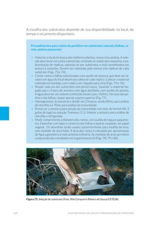 164 Guia Nacional De Coleta E Preservação De Amostras
A escolha dos substratos depende de sua disponibilidade no local, do
tempo e orçamento disponíveis.
Procedimentos para coleta de perifíton em substratos naturais (folhas, ra-
mos, pedras pequenas):
•	 Vistoriar o local em busca das melhores plantas, ramos e/ou pedras. A sele-
ção deve levar em conta submersão, evitando-se substratos expostos, e pa-
dronização de réplicas, optando-se por substratos o mais semelhantes em
textura e tamanho. Devem ser coletadas pelo menos três réplicas de cada
substrato (Figs. 73 e 74);
•	 Cortar ramos e folhas selecionados com auxílio de tesoura, que deve ser la-
vada com água do local depois da coleta de cada réplica. Colocar o material
coletado em bandeja, com o lado a ser raspado para cima (Figs. 75 e 76);
•	 Raspar cada um dos substratos com pincel macio, “lavando” o material ras-
pado para o frasco de amostra com água destilada, com auxílio de pisseta.
A água deve ter um volume conhecido (neste caso, 150mL). No caso das pe-
dras e das folhas, raspar apenas a parte superior (Fig. 77);
•	 Homogeneizar as amostras e dividir em 2 frascos, sendo 80mL para análise
de clorofila a e 70mL para análise da comunidade;
•	 Preservar a amostra para estudo da comunidade com 6mL de formol 4%, 3
gotas de lugol ou solução Transeau (1:1). Manter a amostra para análise de
clorofila a refrigerada;
•	 Medir comprimento e diâmetro dos ramos, com auxílio de régua e paquíme-
tro. Desenhar com lápis o contorno das folhas e pedras raspadas, em papel
vegetal. Os desenhos serão usados posteriormente para medida da área,
com medidor de área foliar. A área dos ramos é calculada por aproximação
da figura geométrica mais próxima (cilindro). As medidas de área permitem
a expressão dos resultados em organismos/cm2 (Figs. 78, 79 e 80).
Figura 73. Seleção de substrato (Foto: Rita Cerqueira Ribeiro de Souza/CETESB).
 