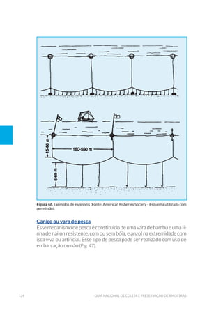 124 Guia Nacional De Coleta E Preservação De Amostras
Caniço ou vara de pesca
Esse mecanismo de pesca é constituído de uma vara de bambu e uma li-
nha de náilon resistente, com ou sem bóia, e anzol na extremidade com
isca viva ou artificial. Esse tipo de pesca pode ser realizado com uso de
embarcação ou não (Fig. 47).
Figura 46. Exemplos de espinhéis (Fonte: American Fisheries Society - Esquema utilizado com
permissão).
 