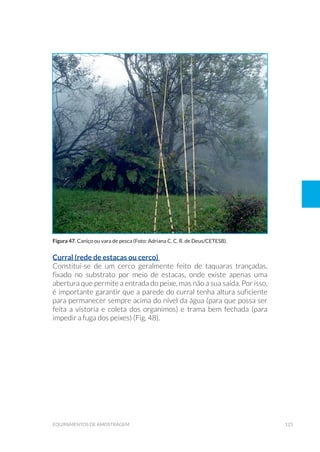 125equipamentos de amostragem
Curral (rede de estacas ou cerco)
Constitui-se de um cerco geralmente feito de taquaras trançadas,
fixado no substrato por meio de estacas, onde existe apenas uma
abertura que permite a entrada do peixe, mas não a sua saída. Por isso,
é importante garantir que a parede do curral tenha altura suficiente
para permanecer sempre acima do nível da água (para que possa ser
feita a vistoria e coleta dos organimos) e trama bem fechada (para
impedir a fuga dos peixes) (Fig. 48).
Figura 47. Caniço ou vara de pesca (Foto: Adriana C. C. R. de Deus/CETESB).
 