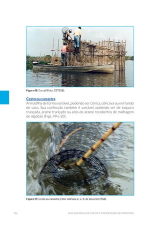 126 Guia Nacional De Coleta E Preservação De Amostras
Cesto ou canastra
Armadilha de forma variável, podendo ser cônica, côncava ou em fundo
de saco. Sua confecção também é variável, podendo ser de taquara
trançada, arame trançado ou aros de arame recobertos de malhagem
de algodão (Figs. 49 e 50).
Figura 48. Curral (Foto: CETESB).
Figura 49. Cesto ou canastra (Foto: Adriana C. C. R. de Deus/CETESB).
 