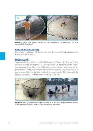 130 Guia Nacional De Coleta E Preservação De Amostras
Linha de arrasto (corrico)
Consta de uma linha resistente com anzol e isca artificial, usada com o
barco em movimento.
Puçá e coador
São aparelhos geralmente utilizados para recolhimento de espécimes
durante atividades de pesca ou em episódios de mortandade de orga-
nismos aquáticos. São constituídos de um círculo de metal ao qual se
prende uma rede afunilada de tamanho variado. O círculo de metal é
preso a um cabo de bambu, madeira ou a um cordel. Dependendo da
região, a malha da rede pode diferir (Figs. 56 e 57).
Figura 55. Tarrafa: (A) Tarrafa em uso; (B) Vista superior da tarrafa (Fotos: CETESB e
Adriana C. C. R. de Deus).
(a)
(a)
(b)
(b)
Figura 56. Puçá: (A) Vista lateral (Foto: Adriana C. C. R. de Deus); (B) Equipamento em uso
(Fonte: American Fisheries Society – Foto utilizada com permissão).
 