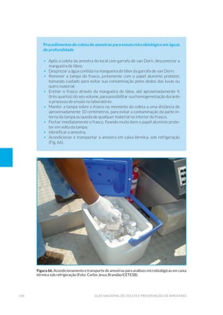 146 Guia Nacional De Coleta E Preservação De Amostras
Procedimentos de coleta de amostras para ensaio microbiológico em águas
de profundidade
•	 Após a coleta da amostra do local com garrafa de van Dorn, desconectar a
mangueira de látex;
•	 Desprezar a água contida na mangueira de látex da garrafa de van Dorn;
•	 Remover a tampa do frasco, juntamente com o papel alumínio protetor,
tomando cuidado para evitar sua contaminação pelos dedos das luvas ou
outro material;
•	 Encher o frasco através da mangueira de látex, até aproximadamente ¾
(três quartos) do seu volume, para possibilitar sua homogeneização durante
o processo de ensaio no laboratório:
•	 Manter a tampa sobre o frasco no momento da coleta a uma distância de
aproximadamente 10 centímetros, para evitar a contaminação da parte in-
terna da tampa ou queda de qualquer material no interior do frasco;
•	 Fechar imediatamente o frasco, fixando muito bem o papel alumínio prote-
tor em volta da tampa;
•	 Identificar a amostra;
•	 Acondicionar e transportar a amostra em caixa térmica, sob refrigeração
(Fig. 66).
Figura 66. Acondicionamento e transporte de amostras para análises microbiológicas em caixa
térmica sob refrigeração (Foto: Carlos Jesus Brandão/CETESB).
 