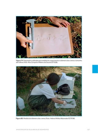 167amostragem de água bruta de sedimentos
Figura 79.Paquímetro utilizado para medida do comprimentoediâmetrodosramosetamanho
das folhas (Foto: Rita Cerqueira Ribeiro de Souza/CETESB).
Figura 80. Medida do diâmetro dos ramos (Foto: Helena Mitiko Watanabe/CETESB).
 