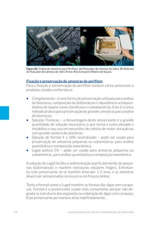170 Guia Nacional De Coleta E Preservação De Amostras
Fixação e preservação de amostras de perifíton
Para a fixação e conservação do perifíton existem vários processos e
produtos citados na literatura:
•	 Congelamento - é uma forma de preservação utilizada para análise
de biomassa, composição de diatomáceas e abundância semiquan-
titativa de táxons como clorofíceas e cianobactérias. Este é o único
método prático para preservação de grandes amostras para análise
de biomassa;
•	 Solução Transeau – a desvantagem deste preservante é a grande
quantidade de solução necessária, o que torna o custo elevado e
inviabiliza o seu uso em excursões de coletas de maior duração ou
com grande número de amostras;
•	 Solução de formol 4 a 10% neutralizado – pode ser usada para
preservação de amostras pequenas ou subamostras, para análise
quantitativa e composição taxonômica;
•	 Lugol acético 5% – pode ser usado para amostras pequenas ou
subamostras, para análise quantitativa e composição taxonômica.
A solução de Lugol facilita a sedimentação (particularmente de peque-
nas diatomáceas) e mantém estruturas celulares frágeis. Entretan-
to, este preservante só se mantém ativo por 1-2 anos, e as amostras
devem ser armazenadas no escuro e em frascos âmbar.
Tanto o formol como o Lugol mantém as formas das algas sem carapa-
ças. Formol é o preservante usado mais comumente porque não de-
grada as estruturas das organelas ou coloração de algas sem carapaça.
Este preservante permanece ativo indefinidamente.
Figura 82. Coleta de amostras para Perifíton. (A) Flutuador de Lâminas de vidro; (B) Retirada
do Flutuador de Lâminas de vidro (Fotos: Rita Cerqueira Ribeiro de Souza).
(a) (b)
 