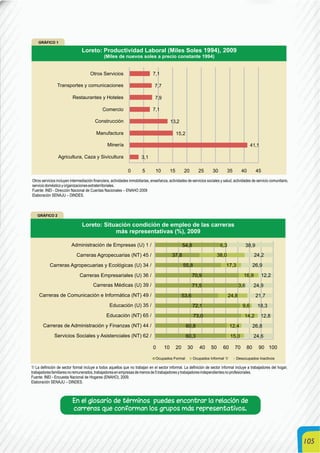 105
Otros servicios incluyen intermediación financiera, actividades inmobiliarias, enseñanza, actividades de servicios sociales y salud, actividades de servicio comunitario,
serviciodomésticoyorganizacionesextraterritoriales.
Fuente: INEI - Dirección Nacional de Cuentas Nacionales – ENAHO 2009
Elaboración SENAJU – DINDES.
1/ La definición de sector formal incluye a todos aquellos que no trabajan en el sector informal. La definición de sector informal incluye a trabajadores del hogar,
trabajadoresfamiliaresnoremunerados,trabajadoresenempresasdemenosde5trabajadoresytrabajadoresindependientesnoprofesionales.
Fuente: INEI - Encuesta Nacional de Hogares (ENAHO), 2009.
Elaboración SENAJU – DINDES.
En el glosario de términos puedes encontrar la relación de
carreras que conforman los grupos más representativos.
 