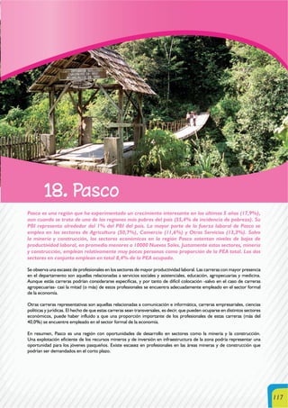 117
18. Pasco
Pasco es una región que ha experimentado un crecimiento interesante en los últimos 5 años (17,9%),
aun cuando se trata de una de las regiones más pobres del país (55,4% de incidencia de pobreza). Su
PBI representa alrededor del 1% del PBI del país. La mayor parte de la fuerza laboral de Pasco se
emplea en los sectores de Agricultura (50,7%), Comercio (11,6%) y Otros Servicios (13,3%). Salvo
la minería y construcción, los sectores económicos en la región Pasco ostentan niveles de bajos de
productividad laboral, en promedio menores a 10000 Nuevos Soles. Justamente estos sectores, minería
y construcción, emplean relativamente muy pocas personas como proporción de la PEA total. Los dos
sectores en conjunto emplean en total 8,4% de la PEA ocupada.
Se observa una escasez de profesionales en los sectores de mayor productividad laboral. Las carreras con mayor presencia
en el departamento son aquellas relacionadas a servicios sociales y asistenciales, educación, agropecuarias y medicina.
Aunque estás carreras podrían considerarse especificas, y por tanto de difícil colocación -salvo en el caso de carreras
agropecuarias- casi la mitad (o más) de estos profesionales se encuentra adecuadamente empleado en el sector formal
de la economía.
Otras carreras representativas son aquellas relacionadas a comunicación e informática, carreras empresariales, ciencias
políticas y jurídicas. El hecho de que estas carreras sean transversales, es decir, que pueden ocuparse en distintos sectores
económicos, puede haber influido a que una proporción importante de los profesionales de estas carreras (más del
40,0%) se encuentre empleado en el sector formal de la economía.
En resumen, Pasco es una región con oportunidades de desarrollo en sectores como la minería y la construcción.
Una explotación eficiente de los recursos mineros y de inversión en infraestructura de la zona podría representar una
oportunidad para los jóvenes pasqueños. Existe escasez en profesionales en las áreas mineras y de construcción que
podrían ser demandados en el corto plazo.
 
