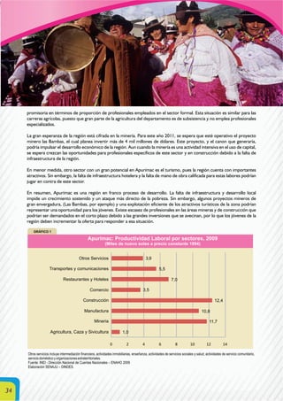 34
Otros servicios incluye intermediación financiera, actividades inmobiliarias, enseñanza, actividades de servicios sociales y salud, actividades de servicio comunitario,
serviciodomésticoyorganizacionesextraterritoriales.
Fuente: INEI - Dirección Nacional de Cuentas Nacionales – ENAHO 2009
Elaboración SENAJU – DINDES.
promisoria en términos de proporción de profesionales empleados en el sector formal. Esta situación es similar para las
carreras agrícolas, puesto que gran parte de la agricultura del departamento es de subsistencia y no emplea profesionales
especializados.
La gran esperanza de la región está cifrada en la minería. Para este año 2011, se espera que esté operativo el proyecto
minero las Bambas, el cual planea invertir más de 4 mil millones de dólares. Este proyecto, y el canon que generaría,
podría impulsar el desarrollo económico de la región. Aun cuando la minería es una actividad intensiva en el uso de capital,
se espera crezcan las oportunidades para profesionales específicos de este sector y en construcción debido a la falta de
infraestructura de la región.
En menor medida, otro sector con un gran potencial en Apurímac es el turismo, pues la región cuenta con importantes
atractivos. Sin embargo, la falta de infraestructura hotelera y la falta de mano de obra calificada para estas labores podrían
jugar en contra de este sector.
En resumen, Apurímac es una región en franco proceso de desarrollo. La falta de infraestructura y desarrollo local
impide un crecimiento sostenido y un ataque más directo de la pobreza. Sin embargo, algunos proyectos mineros de
gran envergadura, (Las Bambas, por ejemplo) y una explotación eficiente de los atractivos turísticos de la zona podrían
representar una oportunidad para los jóvenes. Existe escasez de profesionales en las áreas mineras y de construcción que
podrían ser demandados en el corto plazo debido a las grandes inversiones que se avecinan, por lo que los jóvenes de la
región deben incrementar la oferta para responder a esa situación.
 
