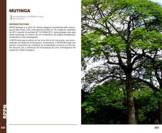 mutinga
Avenida Mutinga x Rua William Furneau
São Domingos.

INFRAESTRUTURA
RPPN Mutinga é a única UC desta categoria reconhecida pelo município de São Paulo. Com uma área de 25.000 m², foi criada em setembro
de 2011, através da portaria Nº 12/SVMA/2011, para proteger uma área
verde localizada no interior de um condomínio de prédios residenciais,
localizada no Sítio Anhanguera.

rppn

A RPPN Mutinga localiza-se na Zona Norte do município, nas proximidades da Rodovia Anhanguera. Atualmente, a RPPN Mutinga não
oferece programas de visitação de modalidade turística ou técnica.
No entanto, há o interesse da Associação do Sítio Anhanguera em
implantar trilha ecológica.

250

251

 