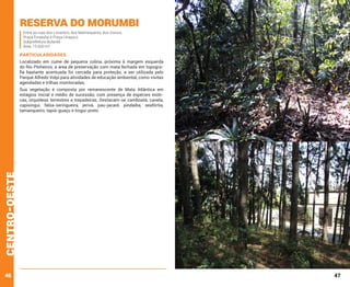 reserva do Morumbi
Entre as ruas dos Limantos, dos Malmequeres, dos Goivos,
Praça Ematuba e Praça Uirapurú
Subprefeitura Butantã
Área: 15.600 m²

PARTICULARIDADES
Localizado em cume de pequena colina, próxima à margem esquerda
do Rio Pinheiros, a área de preservação com mata fechada em topografia bastante acentuada foi cercada para proteção, a ser utilizada pelo
Parque Alfredo Volpi para atividades de educação ambiental, como visitas
agendadas e trilhas monitoradas.

centro-oeste

Sua vegetação é composta por remanescente de Mata Atlântica em
estágios inicial e médio de sucessão, com presença de espécies exóticas, orquídeas terrestres e trepadeiras. Destacam-se camboatá, canela,
capixingui, falsa-seringueira, jerivá, pau-jacaré, pindaíba, seafórtia,
tamanqueiro, tapiá-guaçu e tingui-preto.

46

47

 