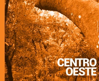 CENTRO
OESTE

Parque Alfredo Volpi

 