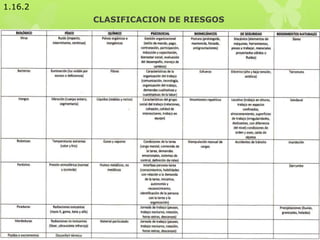 CLASIFICACION DE RIESGOS
1.16.2
 