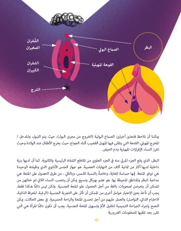 sexualidades en clave cultural en arabe