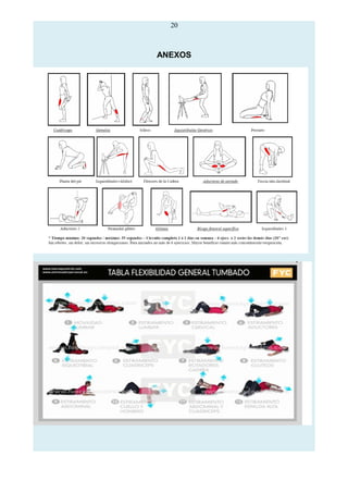20
ANEXOS
 
