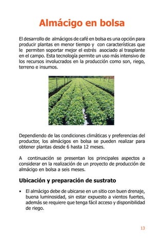 16
Programa de fertilización de almácigo al suelo
Nº Fertilizante
Dosis
kg/ha
Adición
kg/ha
Kg requerido* para Pts/saco
(4...