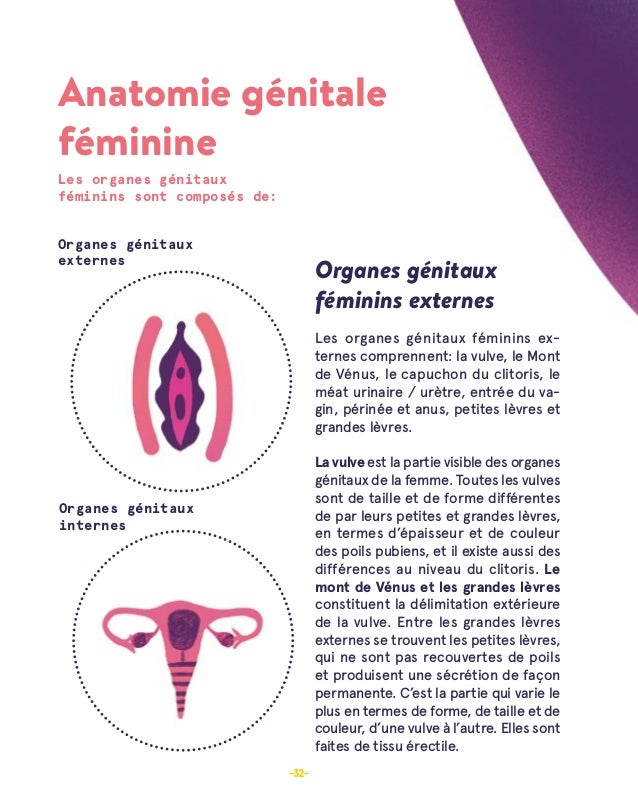 Guia Sexualidades En Clave Cultural Frances