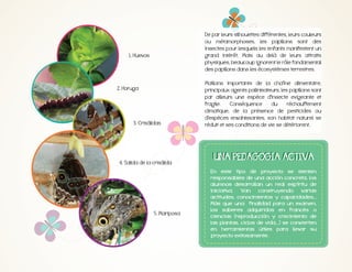 De par leurs silhouettes différentes, leurs couleurs
ou métamorphoses, les papillons sont des
insectes pour lesquels les enfants manifestent un
grand intérêt. Mais au delà de leurs attraits
physiques, beaucoup ignorent le rôle fondamental
des papillons dans les écosystèmes terrestres.
Maillons importants de la chaîne alimentaire,
principaux agents pollinisateurs, les papillons sont
par ailleurs une espèce d'insecte exigeante et
fragile.
Conséquence
du
réchauffement
climatique, de la présence de pesticides ou
d'espèces envahissantes, son habitat naturel se
réduit et ses conditions de vie se détériorent.

5. Mariposa

En este tipo de proyecto se sienten
responsables de una acción concreta, los
alumnos desarrollan un real espíritu de
iniciativa. Van construyendo varias
actitudes, conocimientos y capacidades...
Más que una finalidad para un examen,
los saberes adquiridos en francés o
ciencias (reproducción y crecimiento de
las plantas, ciclos de vida...) se convierten
en herramientas útiles para llevar su
proyecto exitosamente.

 