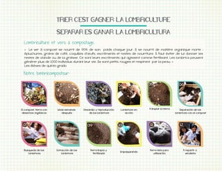 TRIER&C'EST&GAGNER:&LA&LOMBRICULTURE
SEPARAR&ES&GANAR:&LA&LOMBRICULTURA
«
épluchures, grains de café, coquilles d’œufs, excréments et restes de nourriture. Il faut éviter de lui donner les
»
Les élèves de quinto grado

El compost, tierra con
desechos orgánicos

Unas semanas
después

Desarollo y reproducción
de los lombrices

Lombrices en
acción

Busqueda de los
lombrices

Extracción de los
lombrices

Tierra limpia y
fertilizada

Empaqueando

A limpiar la tierra

Separación de los
lombrices con el compost

Tierre lista para
utilización

A repartir o
venderla

 