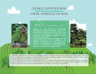 LES$MILLE$VERTS$DES$TICOS
$LOS$MIL$VERDES$DE$LOS$TICOS

Comme son nom l'indique la biodiversité
représente la diversité du vivant. C'est à dire
l'ensemble des milieux naturels, des formes de vie
et de leurs interactions. Il s'agit de notre
patrimoine naturel, agissant également comme
La biodiversité est mise en danger par les
activités humaines et la disparition de
nombreuses espèces. Parce que celles-ci sont
uniques, irremplaçables et interdépendantes,
nous devons absolument faire des efforts pour
préserver la biodiversité de notre planète.

forêts et dispose d'une grande variété de climats et de paysages naturels (Forêt tropicale humide, Forêt humide
montagneuse, Paramo, Haute plaine, Forêt tropicale sèche).
Le Costa Rica mène par ailleurs depuis longtemps une politique de conservation des espaces naturels (les parcs
le pays le plus riche au monde proportionnellement à sa taille en terme de biodiversité.

 