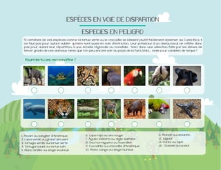 ESPECES&EN&VOIE&DE&DISPARITION
ESPECIES&EN&PELIGRO
ne faut pas pour autant oublier qu'elles sont aussi en voie d'extinction. Leur présence à un niveau local ne reflète donc

1. Pecari ou sanglier d'Amérique
2. Lapa verde ou grand ara vert
3. Tortuga verde ou tortue verte
4. Tortuga baula ou tortue luth
5. Mono ardilla ou singe ecureuil

6. Lapa roja ou ara rouge
7. Águila solitaria ou aigle solitaire

10. Mono congo ou singe hurleur

11. Manati ou lamantin
12. Jaguar
13. Danta ou tapir

 
