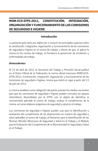 Guía NOM-019-STPS-2011 | PDF