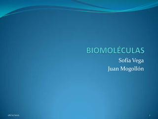 Sofía Vega
             Juan Mogollón




06/11/2012                    1
 