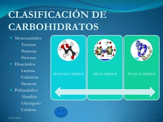 CLASIFICACIÓN DE
CARBOHIDRATOS
  Monosacáridos
       Tetrosas
       Pentosas
       Hexosas
  Disacáridos
       Lactosa
                    MONOSACARIDOS   DISACARIDOS   POLISACARIDOS
       Galactosa
       Sacarosa
  Polisacáridos
       Almidón
       Glucógeno
       Celulosa

12/09/2012                                                    7
 