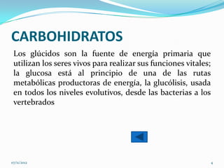 CARBOHIDRATOS
 Los glúcidos son la fuente de energía primaria que
 utilizan los seres vivos para realizar sus funciones vitales;
 la glucosa está al principio de una de las rutas
 metabólicas productoras de energía, la glucólisis, usada
 en todos los niveles evolutivos, desde las bacterias a los
 vertebrados




07/11/2012                                                       4
 