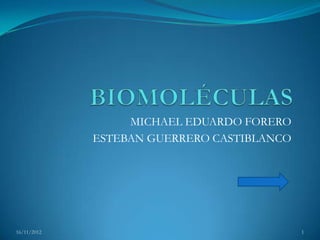 MICHAEL EDUARDO FORERO
             ESTEBAN GUERRERO CASTIBLANCO




16/11/2012                                  1
 