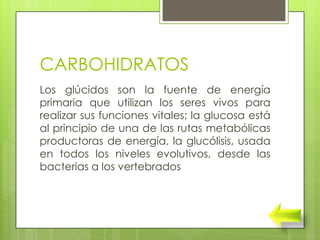 CARBOHIDRATOS
Los glúcidos son la fuente de energía
primaria que utilizan los seres vivos para
realizar sus funciones vitales; la glucosa está
al principio de una de las rutas metabólicas
productoras de energía, la glucólisis, usada
en todos los niveles evolutivos, desde las
bacterias a los vertebrados
 