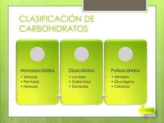 CLASIFICACIÓN DE
CARBOHIDRATOS



Monosacáridos   Disacáridos   Polisacáridos
• Tetrosas      • Lactosa     • Almidón
• Pentosas      • Galactosa   • Glucógeno
• Hexosas       • Sacarosa    • Celulosa
 