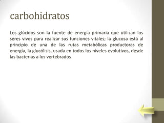 carbohidratos
Los glúcidos son la fuente de energía primaria que utilizan los
seres vivos para realizar sus funciones vitales; la glucosa está al
principio de una de las rutas metabólicas productoras de
energía, la glucólisis, usada en todos los niveles evolutivos, desde
las bacterias a los vertebrados
 
