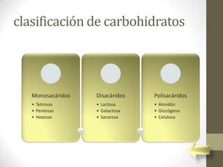 clasificación de carbohidratos




   Monosacáridos   Disacáridos   Polisacáridos
   • Tetrosas      • Lactosa     • Almidón
   • Pentosas      • Galactosa   • Glucógeno
   • Hexosas       • Sacarosa    • Celulosa
 