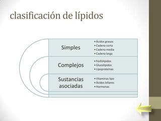 clasificación de lípidos

                         • Ácidos grasos
                         • Cadena corta
             Simples     • Cadena media
                         • Cadena larga

                         • Fosfolípidos
            Complejos    • Glucolípidos
                         • Lipoproteínas


            Sustancias   • Vitaminas lipo
                         • Ácidos biliares
            asociadas    • Hormonas
 