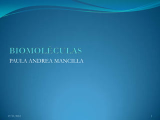 PAULA ANDREA MANCILLA




07/11/2012               1
 